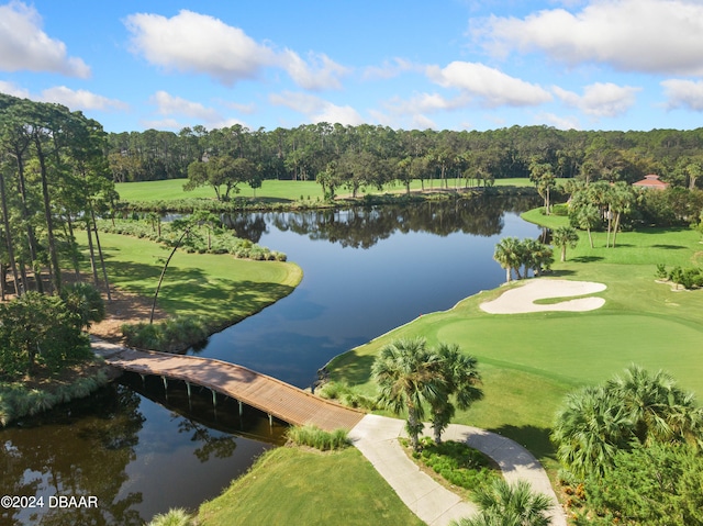 view of property's community with a yard and a water view