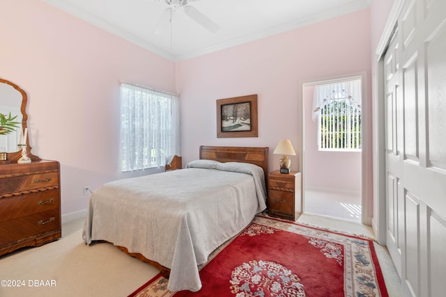 carpeted bedroom featuring ceiling fan, a closet, and crown molding