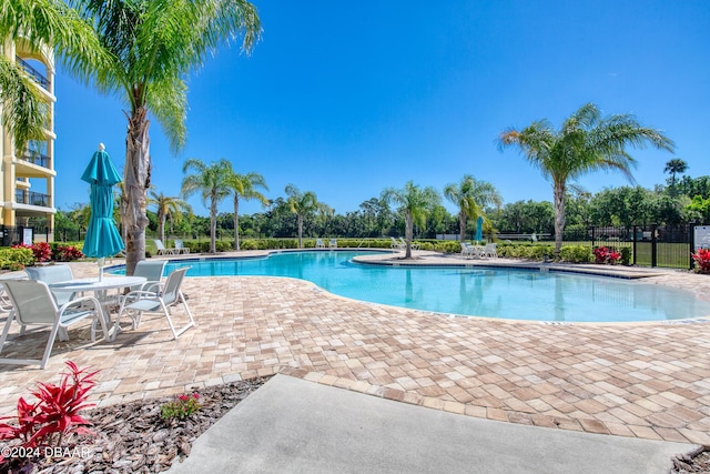 view of swimming pool featuring a patio