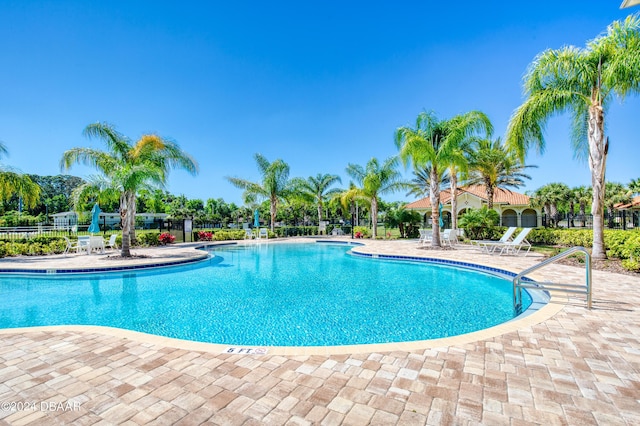 view of pool featuring a patio area