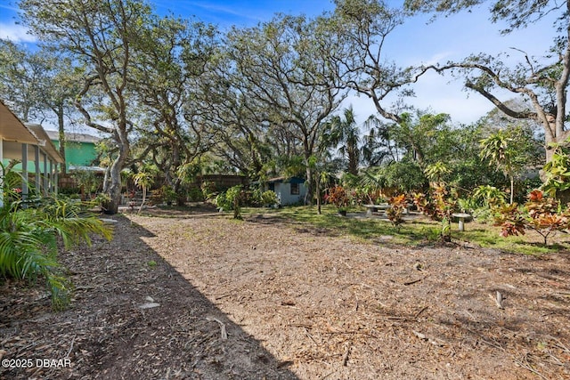 view of yard with a storage shed