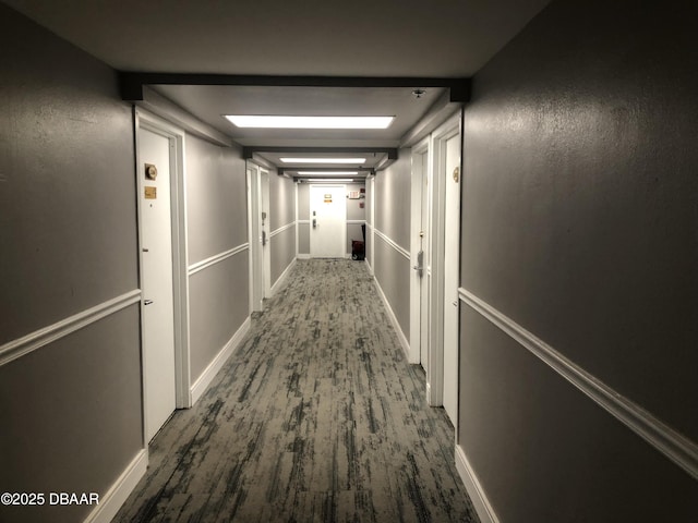 corridor with dark hardwood / wood-style flooring