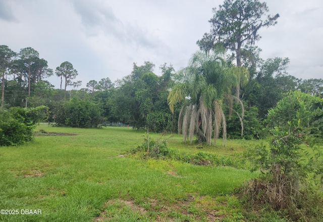105 Palm Ln, Crescent City, FL 32112 - photo 44