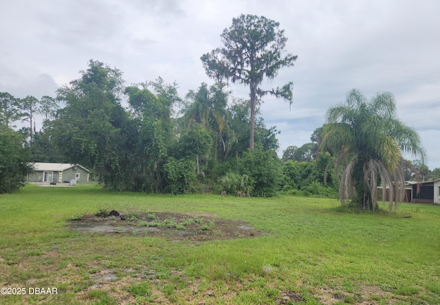 105 Palm Ln, Crescent City, FL 32112 - photo 45