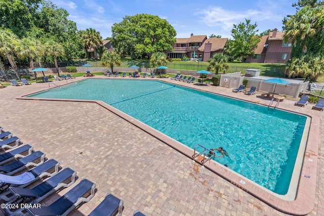 view of swimming pool featuring a patio area and a lawn