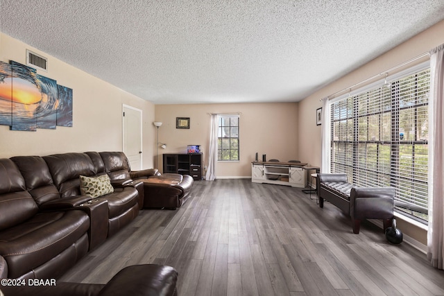 living room with wood-type flooring, plenty of natural light, and a textured ceiling