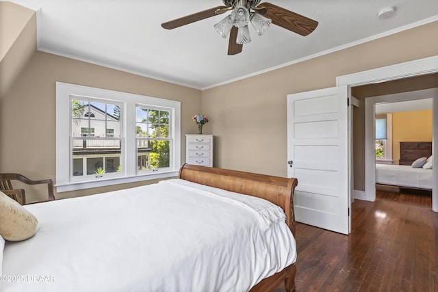 bedroom featuring dark wood-type flooring, ornamental molding, and multiple windows