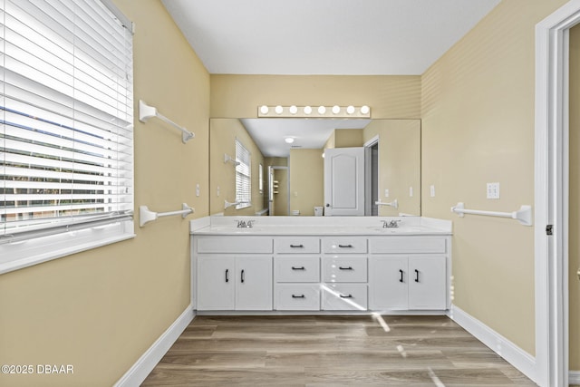 full bathroom featuring a sink, baseboards, and double vanity