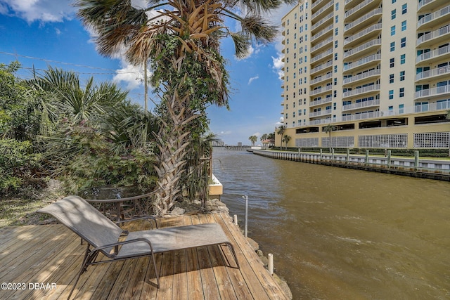 dock area with a water view