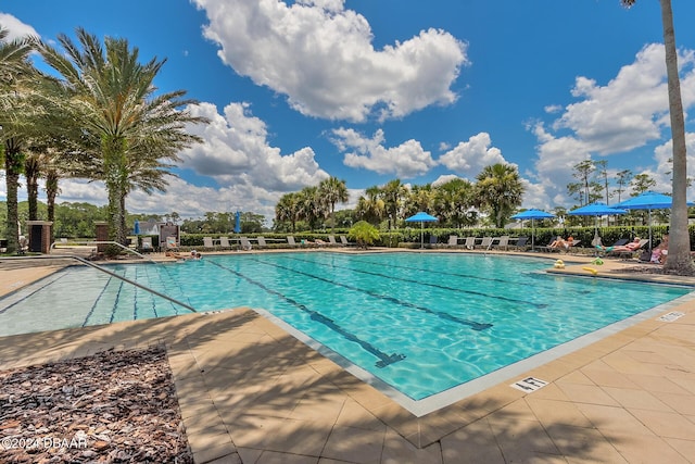 view of pool featuring a patio area