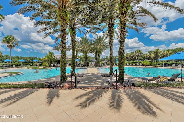 view of swimming pool featuring a patio