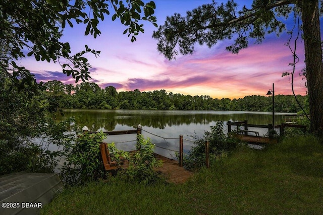 49 Ludlow Ln W W, Unit W, Palm Coast, FL 32137 - dock with a water view and a wooded view