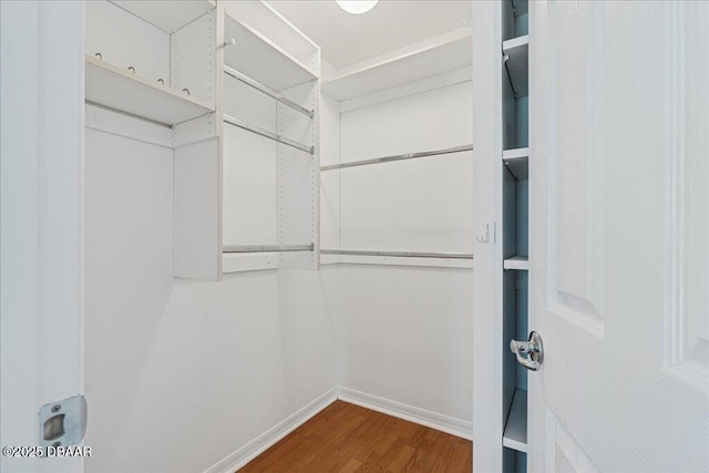 49 Ludlow Ln W W, Unit W, Palm Coast, FL 32137 - spacious closet with wood finished floors