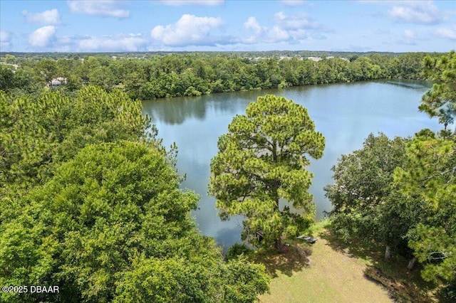 49 Ludlow Ln W W, Unit W, Palm Coast, FL 32137 - aerial view of a forest and a nearby body of water