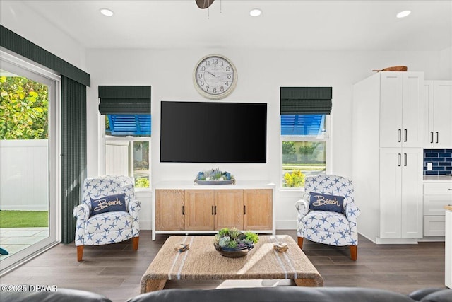 living room with dark hardwood / wood-style floors