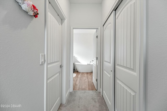 hall with light carpet
