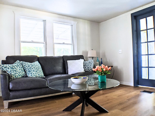 living room featuring hardwood / wood-style flooring