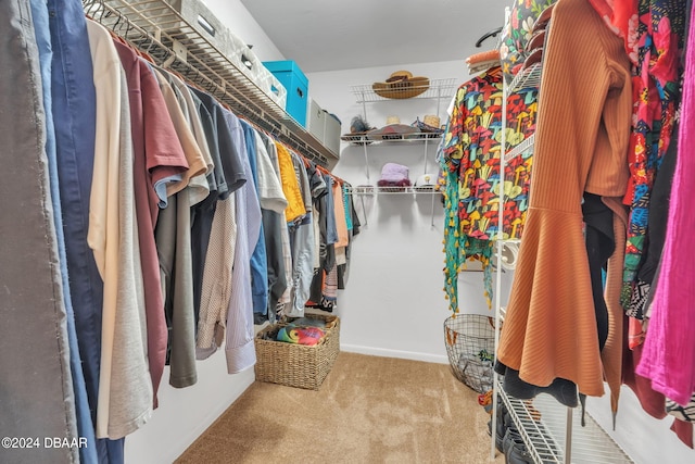 spacious closet featuring carpet