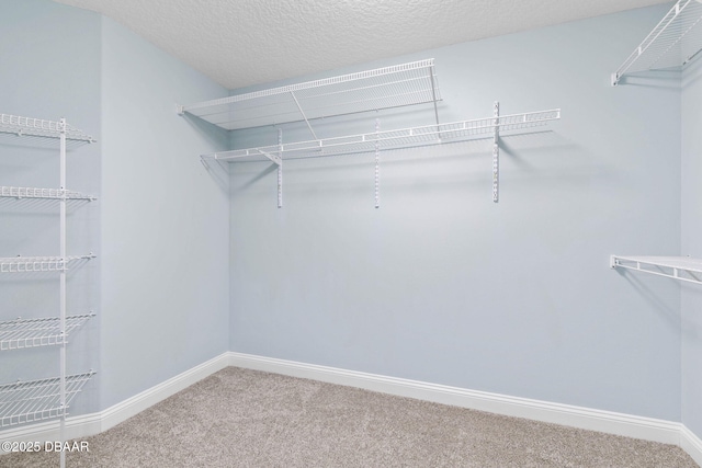 spacious closet with carpet