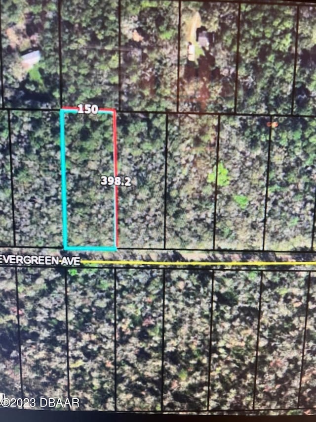 3684 Evergreen Ave, Bunnell, FL 32110