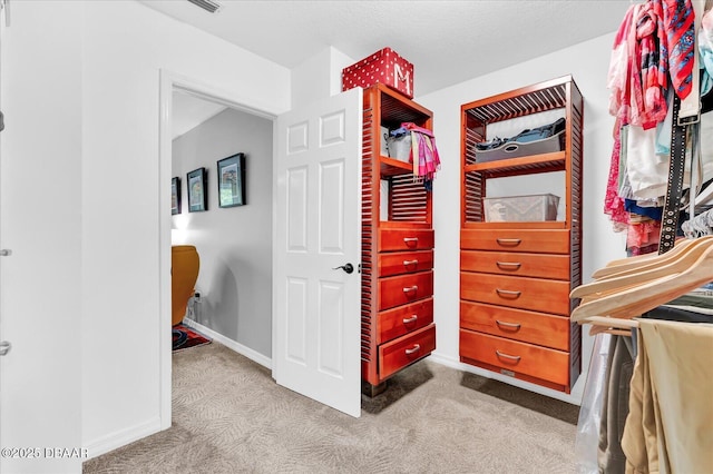 2 Bulows Lndg, Flagler Beach, FL 32136 - walk in closet featuring carpet flooring