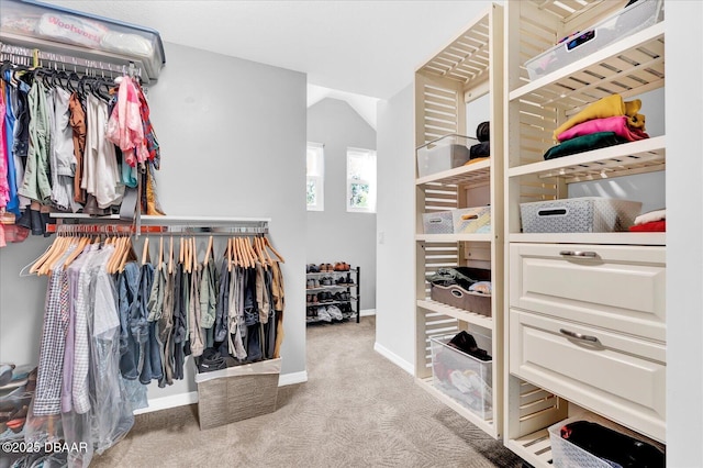 2 Bulows Lndg, Flagler Beach, FL 32136 - walk in closet with carpet