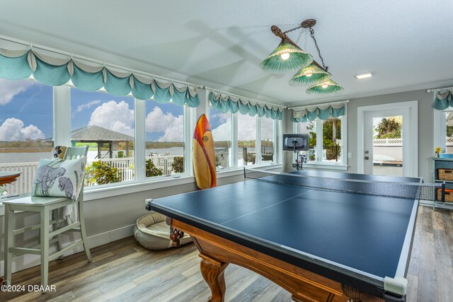 playroom with hardwood / wood-style flooring and plenty of natural light