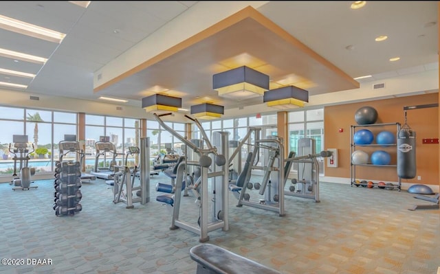 exercise room with light colored carpet