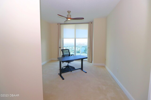 carpeted office with ceiling fan and a wall of windows