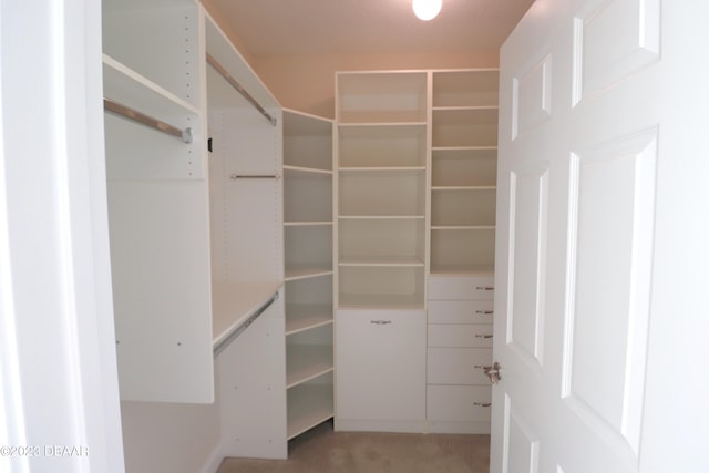 spacious closet with carpet floors