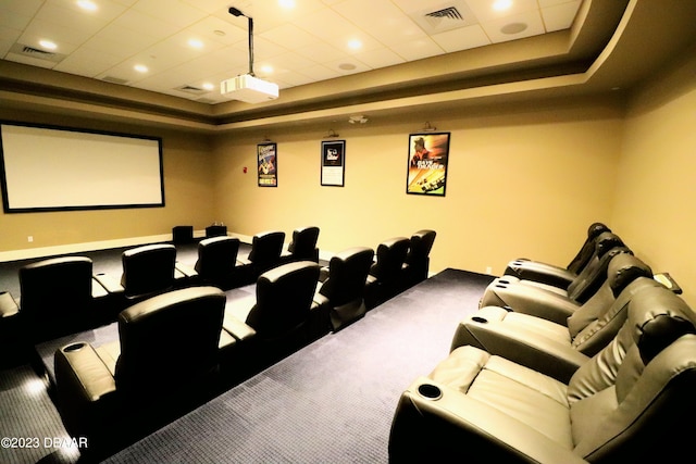 view of carpeted home theater