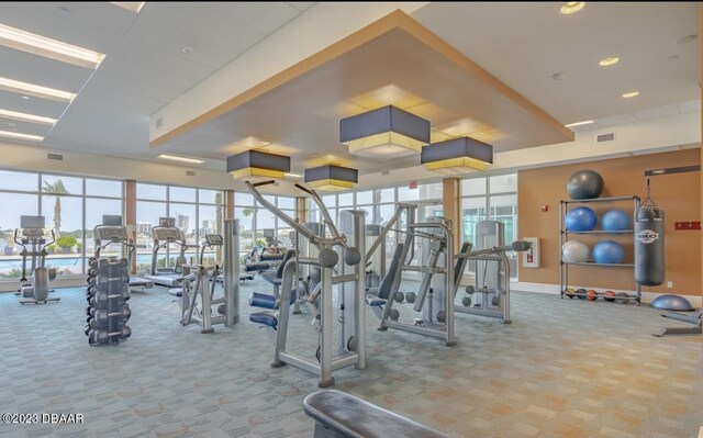 231 Riverside Dr Unit 2409, Holly Hill, FL 32117 - workout area with carpet floors and baseboards