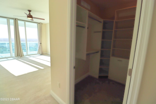 walk in closet with carpet and ceiling fan