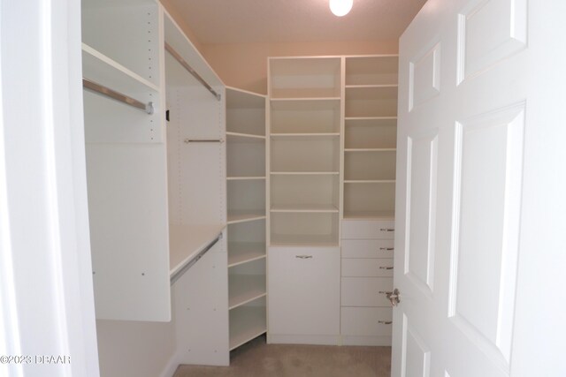 231 Riverside Dr Unit 2409, Holly Hill, FL 32117 - walk in closet featuring light carpet