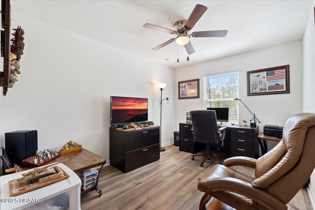 20 Willow St, Palm Coast, FL 32164 - office space featuring ceiling fan and light wood-style floors