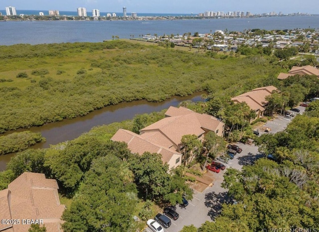 bird's eye view with a water view