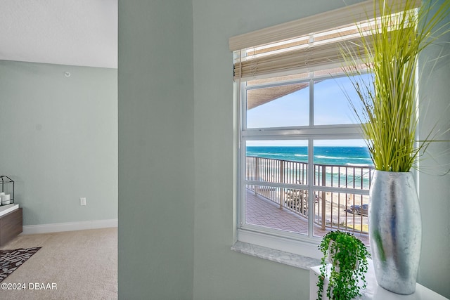 details featuring carpet floors, a water view, and a view of the beach