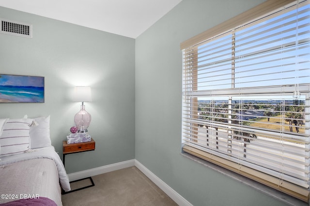 bedroom featuring carpet floors and multiple windows