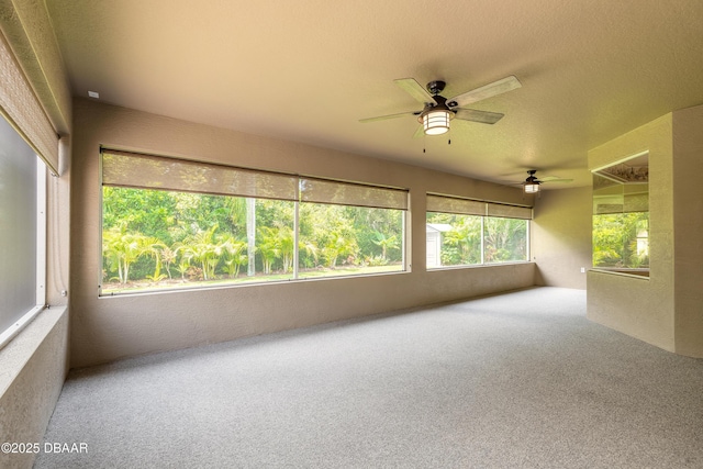 6049 Spruce Point Cir, Port Orange, FL 32128 - photo 31