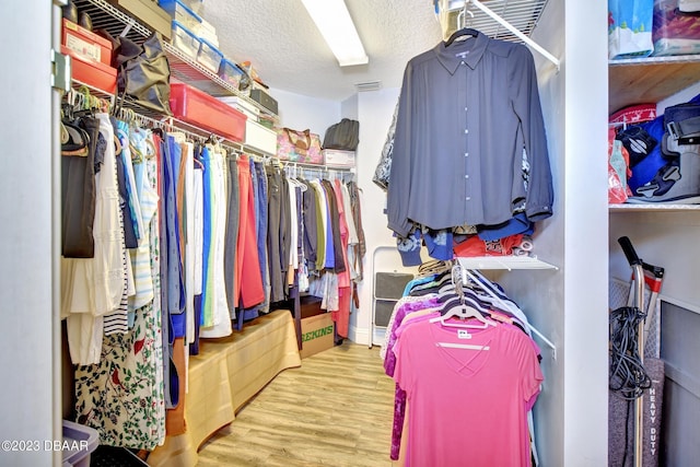 4670 Links Village Dr Unit B102, Ponce Inlet, FL 32127 - spacious closet featuring wood finished floors
