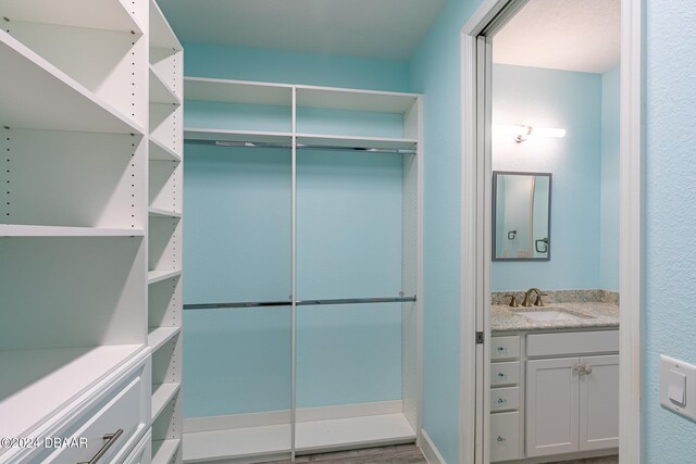 spacious closet with wood-type flooring and sink