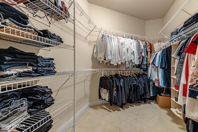 walk in closet featuring carpet