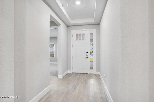 interior space with light hardwood / wood-style flooring, plenty of natural light, and a raised ceiling