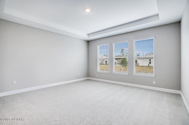 unfurnished room with a raised ceiling, carpet, and a textured ceiling