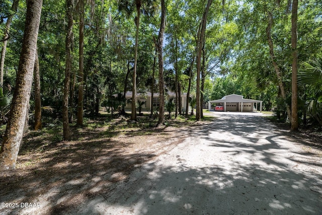 view of road with dirt driveway