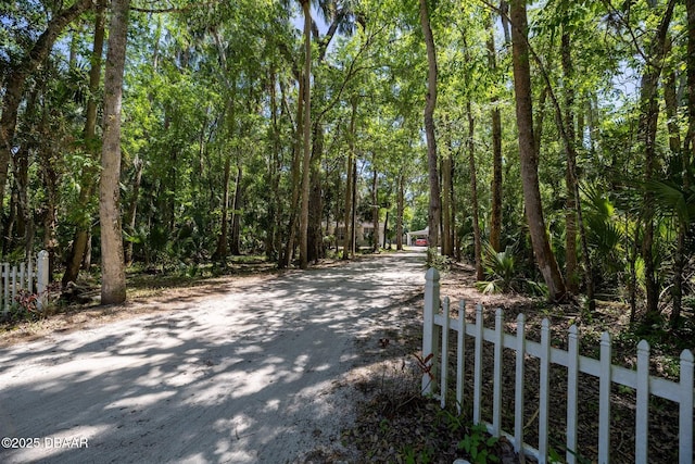 view of street with driveway