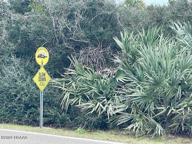 4415 S Atlantic Ave, Ponce Inlet, FL 32127 - photo 4