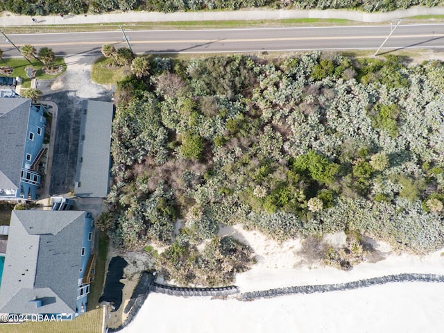 4415 S Atlantic Ave, Ponce Inlet, FL 32127 - photo 13