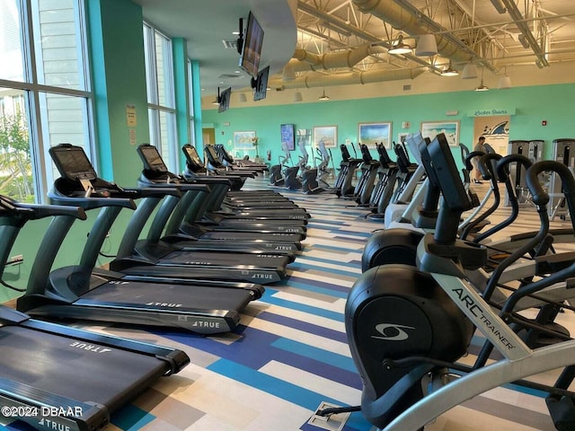 exercise room with a wealth of natural light