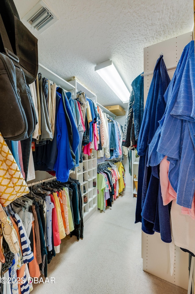 walk in closet with carpet floors